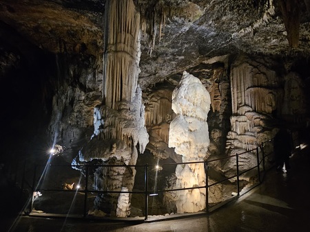 Naravoslovni dan - Postojnska jama (5)